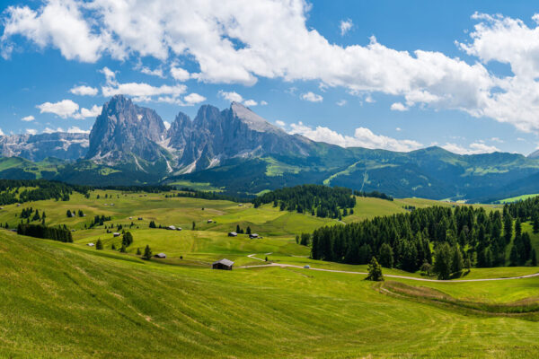 View of the magnificent plateau of Seiser Alm during the summer season